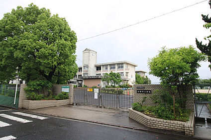 金剛寺小学校 800m