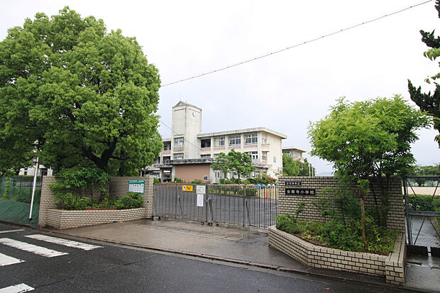 金剛寺小学校(約800m)