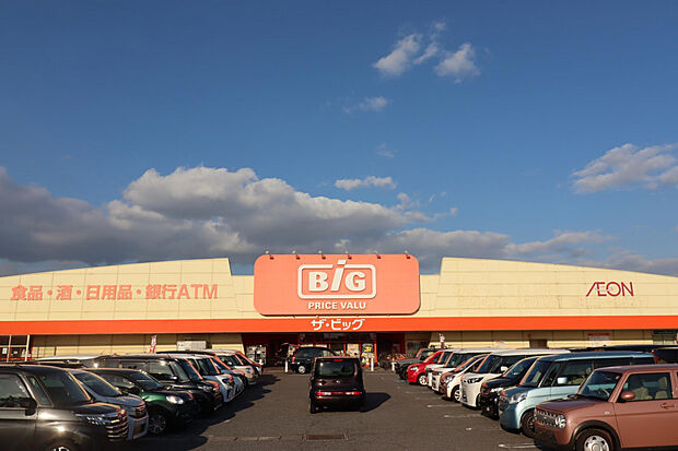 ザ・ビック連島店（約350m）