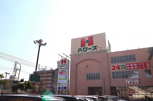 ハローズ西古松店（約800m）