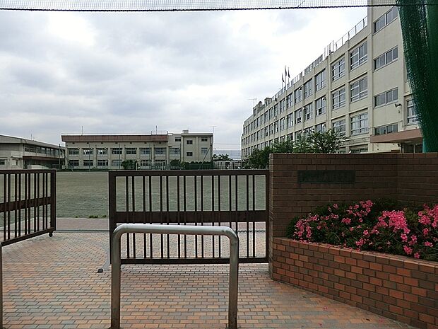 足立区立東島根中学校()