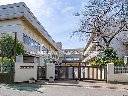 新座市立栗原小学校 340m(5分)