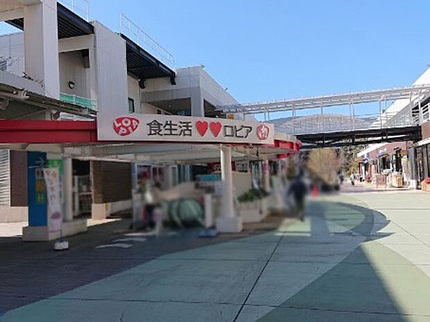 ロピア ふじみ野店（約1,900m）