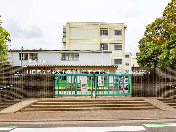 川口市立芝中央小学校(約650m)