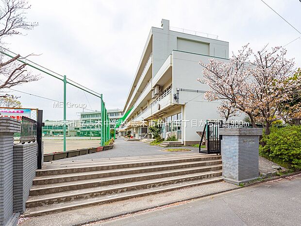 志木市立志木中学校（約900m）