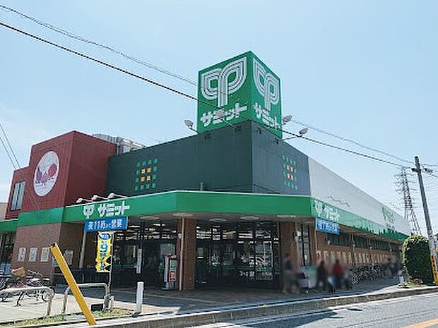 サミットストア 新座片山店（約900m）