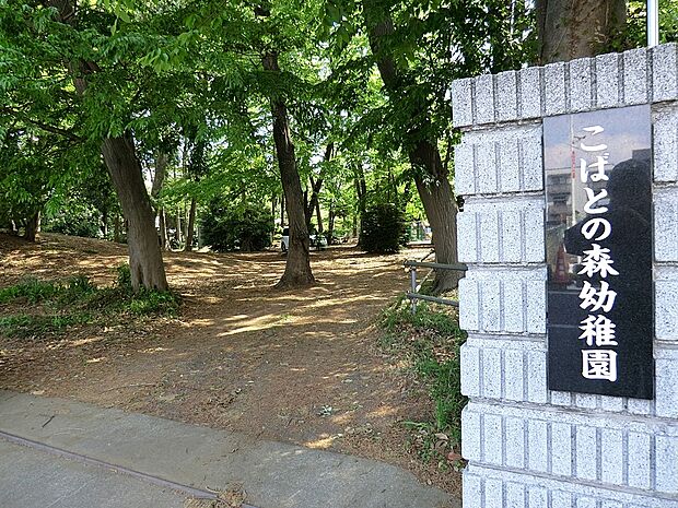 こばとの森幼稚園(約600m)
