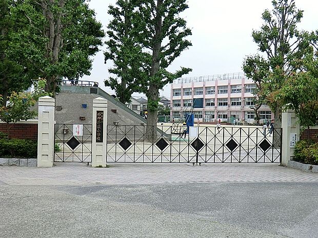 練馬区立石神井東小学校（約400m）