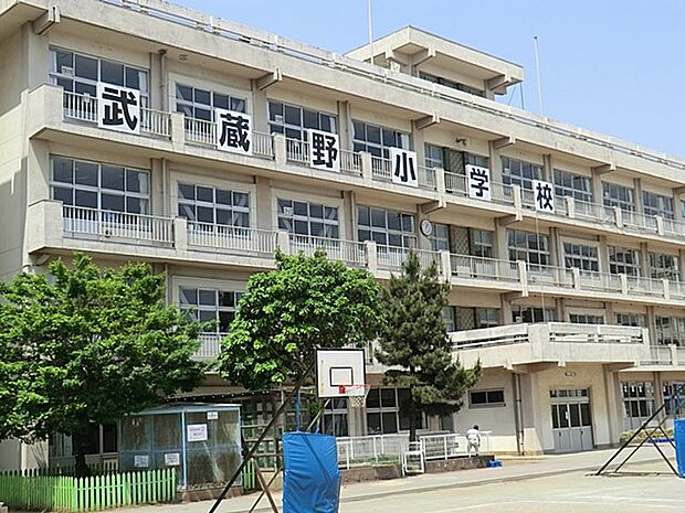 川越市立武蔵野小学校(約1,210m)