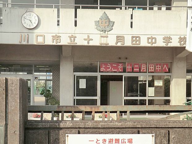 川口市立十二月田中学校(約637m)