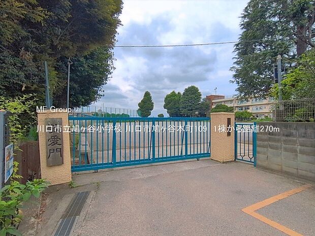 川口市立鳩ヶ谷小学校(約270m)