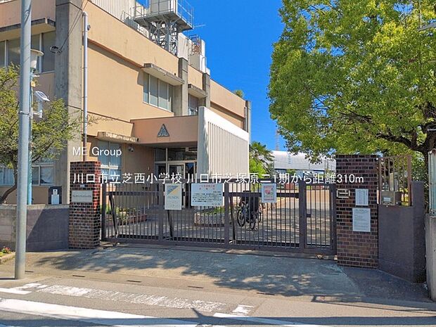 川口市立芝西小学校（約310m）