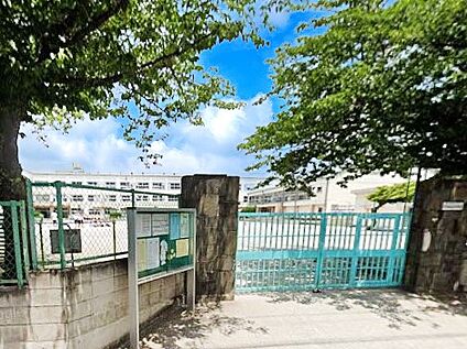 足立区立花畑西小学校 260m