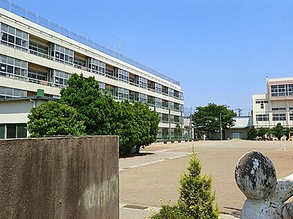 川口市立芝中央小学校 900m