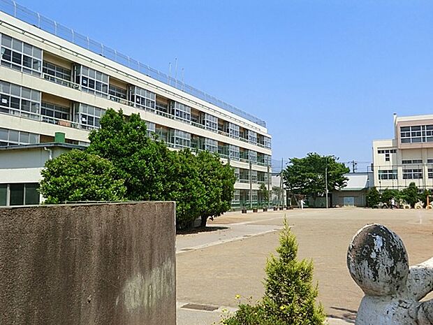 川口市立芝中央小学校(約900m)