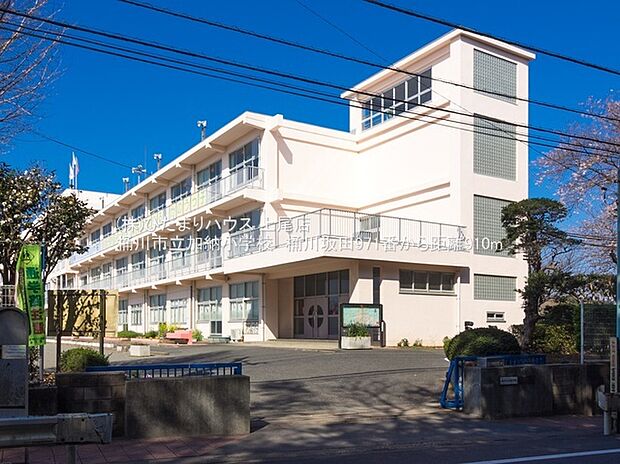 桶川市立加納小学校（約910m）