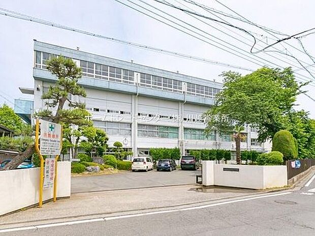 川越市立寺尾中学校（約600m）