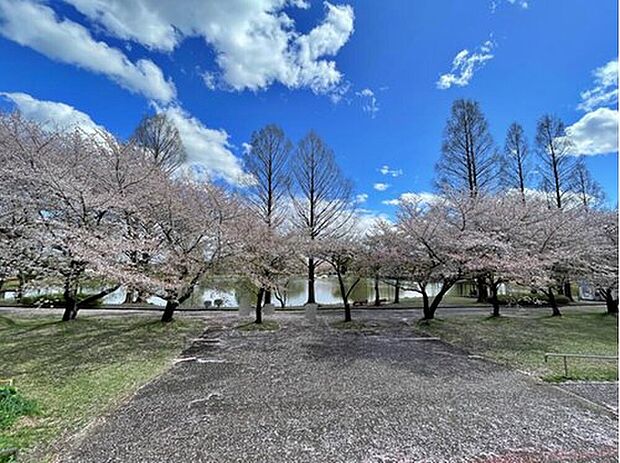 川越親水公園(約1,658m)