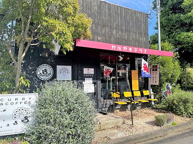 カルガモテラス　伊勢原ランチ