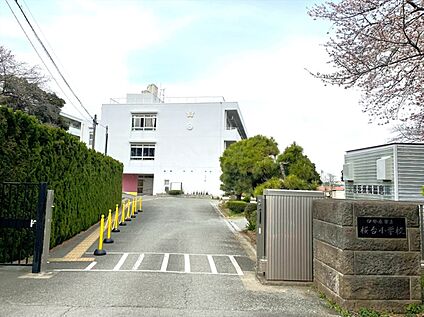 伊勢原市立桜台小学校 約300m