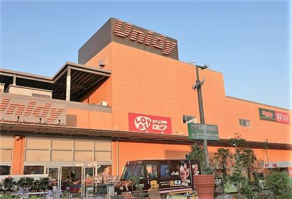 ロピア 平塚ユニディ店 約1,000m