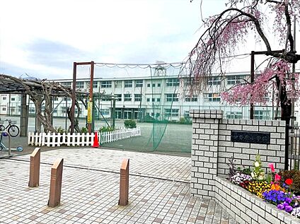 伊勢原市立伊勢原小学校 約800m