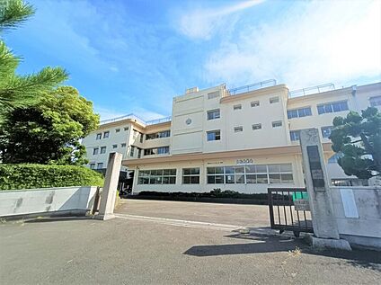平塚市立花水小学校 約500m
