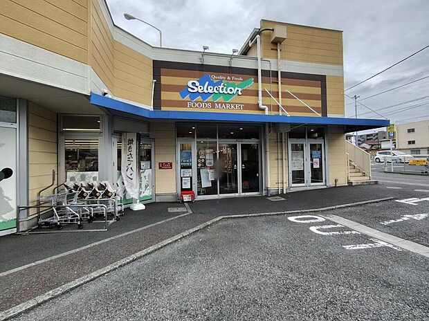 FOODS　MARKET　Selection松戸店まで70m