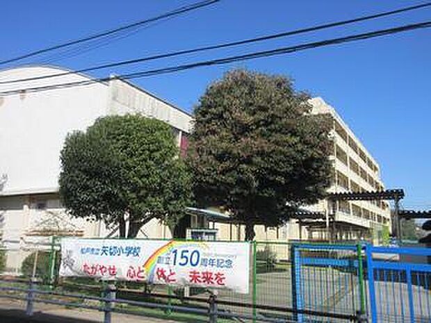 松戸市立矢切小学校(約1,000m)