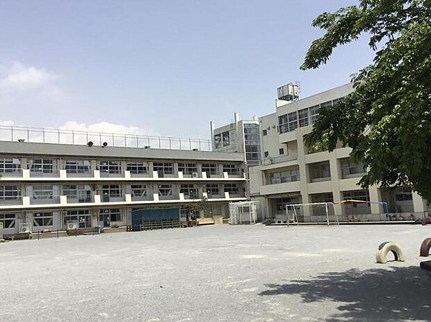 市川市立真間小学校（約450m）