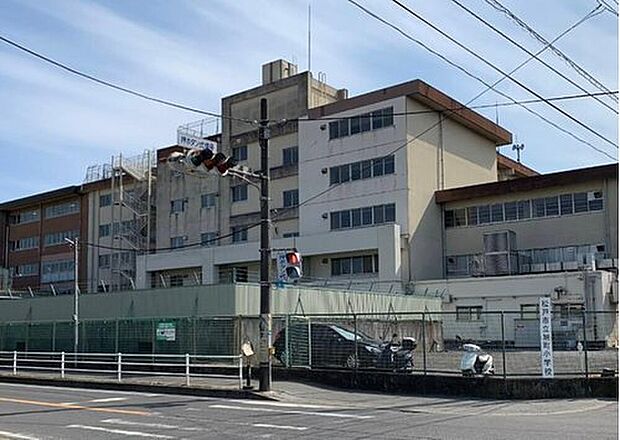 松戸市立旭町小学校(約600m)