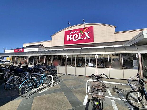 ベルクス北松戸店(約260m)