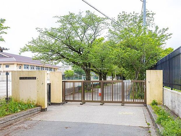 市川市立第一中学校（約2,100m）