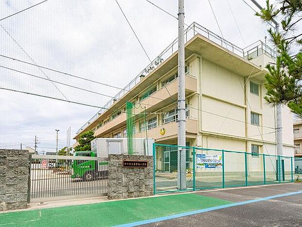 市川市立冨貴島小学校（約300m）