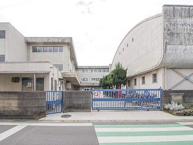 松戸市立馬橋小学校（約260m）