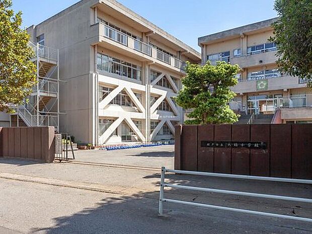 松戸市立大橋小学校（約300m）