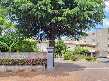 松戸市立第二中学校 800ｍ(徒歩10分)