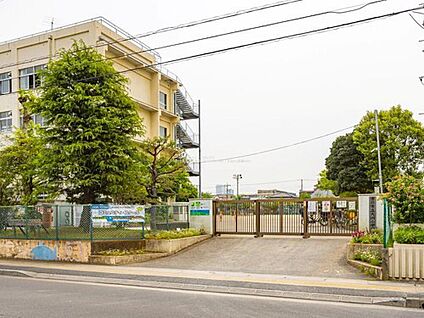 市川市立大洲小学校 800m(徒歩10分)