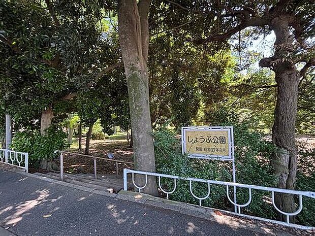 しょうぶ公園（約599m）