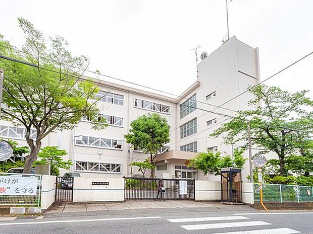 松戸市立第三中学校(約562m)