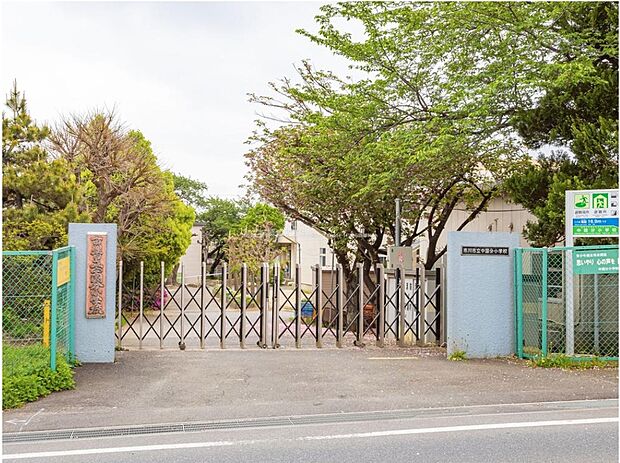 市川市立中国分小学校(約900m)