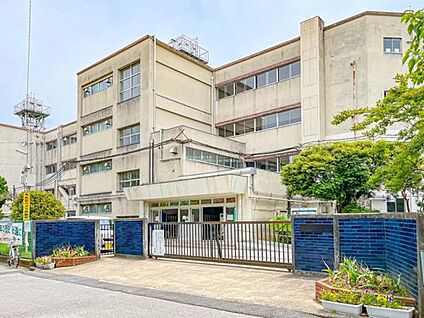松戸市立八ケ崎小学校 1200m(徒歩15分)