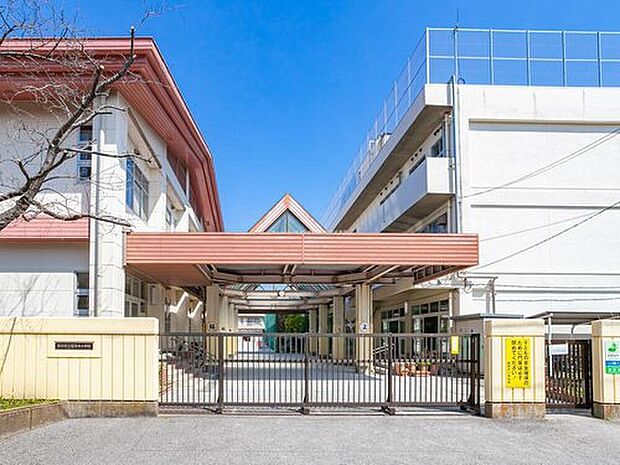 市川市立稲荷木小学校（約450m）