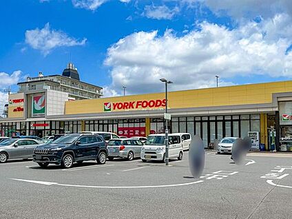 ヨークフーズ六高台店 380m(徒歩5分)