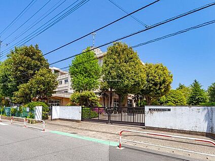 松戸市立六実小学校 550m(徒歩7分)