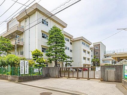 市川市立第八中学校 700m(徒歩9分)