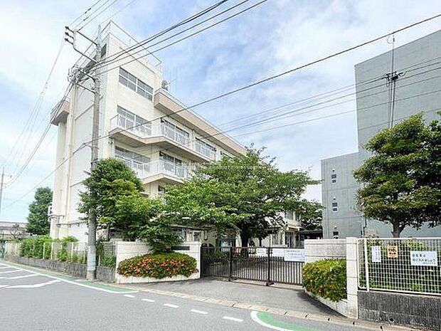 市川市立国分小学校(約800m)