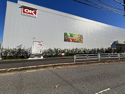 オーケー松戸大橋店 730ｍ(徒歩10分)