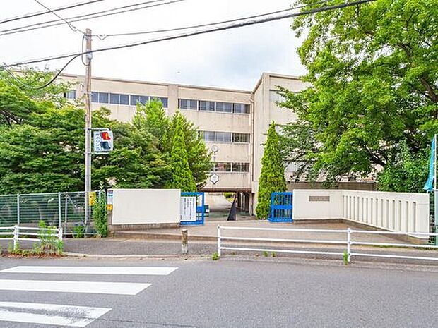 松戸市立柿ノ木台小学校（約500m）