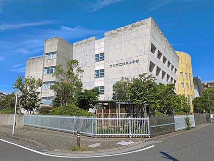 市川市立妙典小学校 800ｍ(徒歩10分)